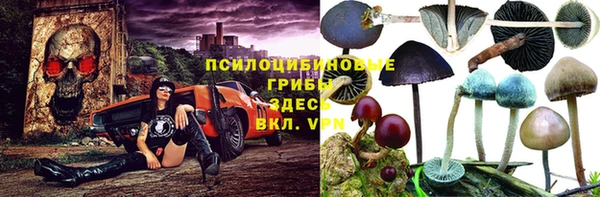 соль ск Балабаново